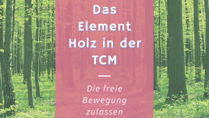 Read more about the article Das Element Holz nach TCM – Etwas Bewegung