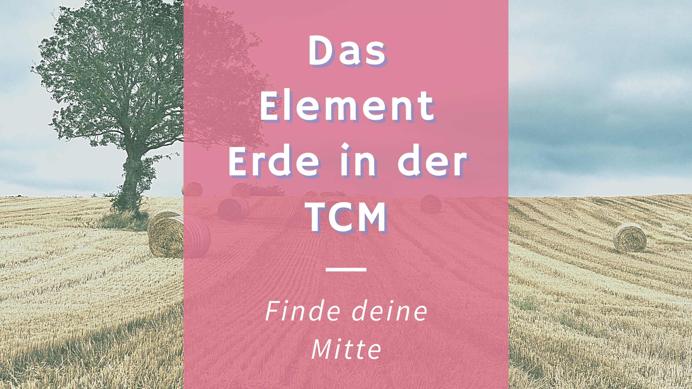 Read more about the article Das Element Erde nach TCM – Die Körpermitte