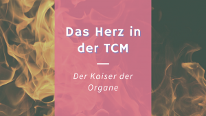 Read more about the article Das Herz in der TCM – Der Kaiser der Organe
