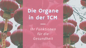 Read more about the article Die Organe in der Traditionell Chinesischen Medizin