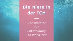 Read more about the article Die Niere in der TCM – Der Minister für Wachstum und Entwicklung