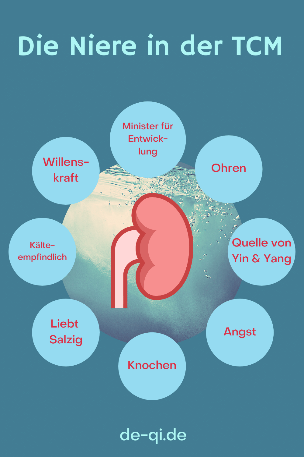 Die Niere in der TCM Der Minister für Wachstum und Entwicklung DeQi
